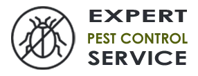 Emergency Exterminator Company  Fort Lauderdale FL